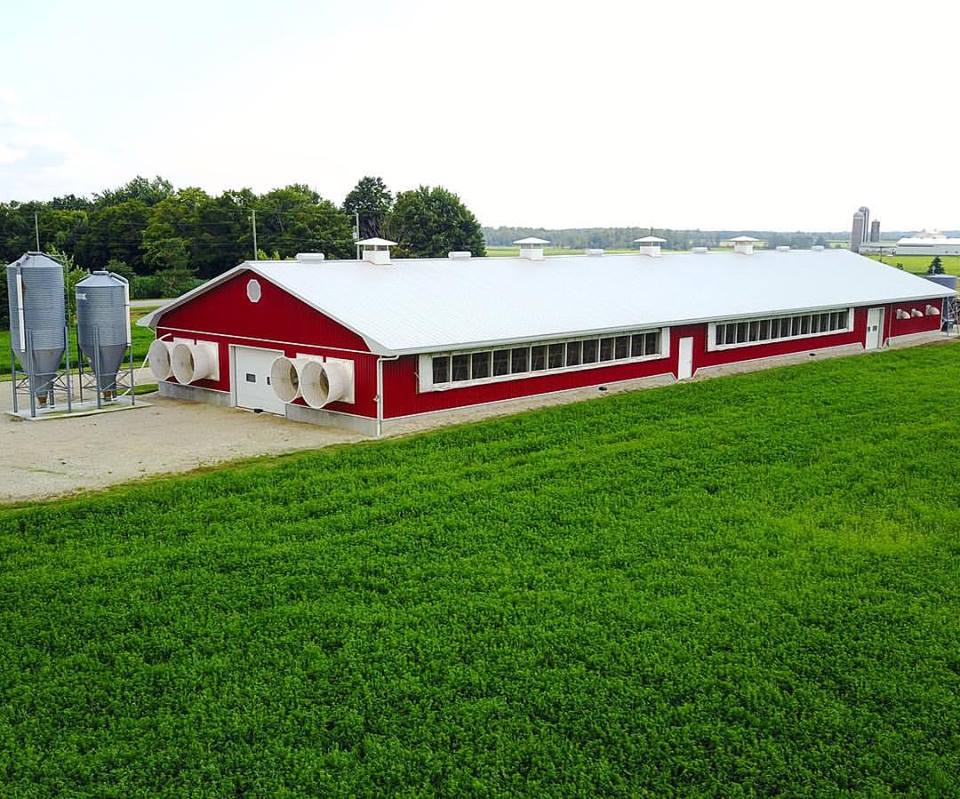 60' x 260' turkey barn.  Aerial view.  Barn has red steel cladding, a white roof, 4 large ventilation fans, 4 venting chimneys and 2 feed silos.  